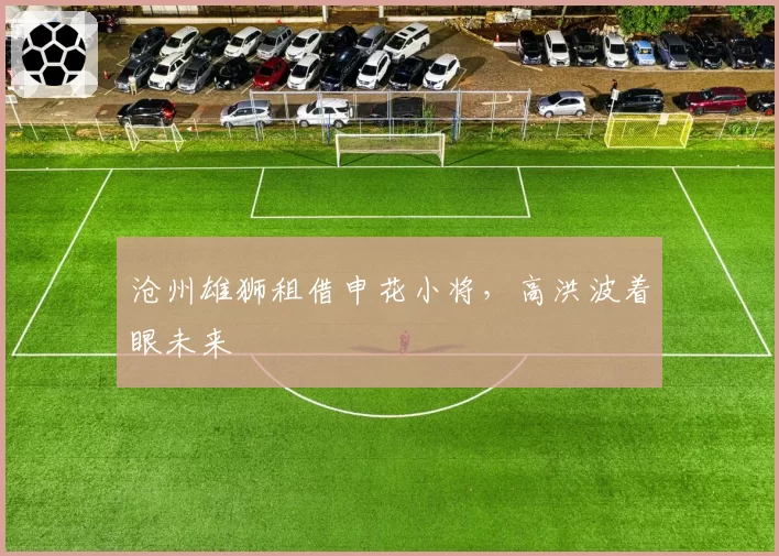 沧州雄狮租借申花小将，高洪波着眼未来
