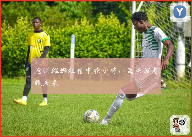 沧州雄狮租借申花小将,高洪波着眼未来