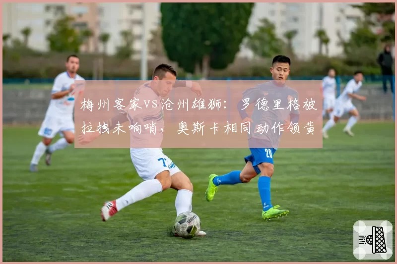 梅州客家vs沧州雄狮:罗德里格被拉拽未响哨,奥斯卡相同动作领黄牌