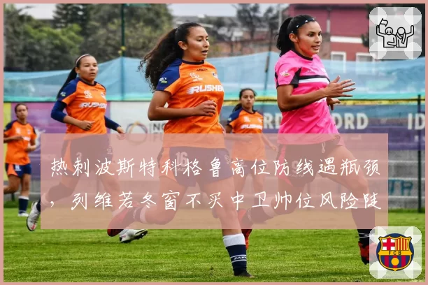 热刺波斯特科格鲁高位防线遇瓶颈，列维若冬窗不买中卫帅位风险陡增