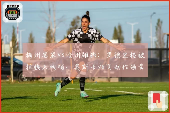梅州客家vs沧州雄狮：罗德里格被拉拽未响哨，奥斯卡相同动作领黄牌